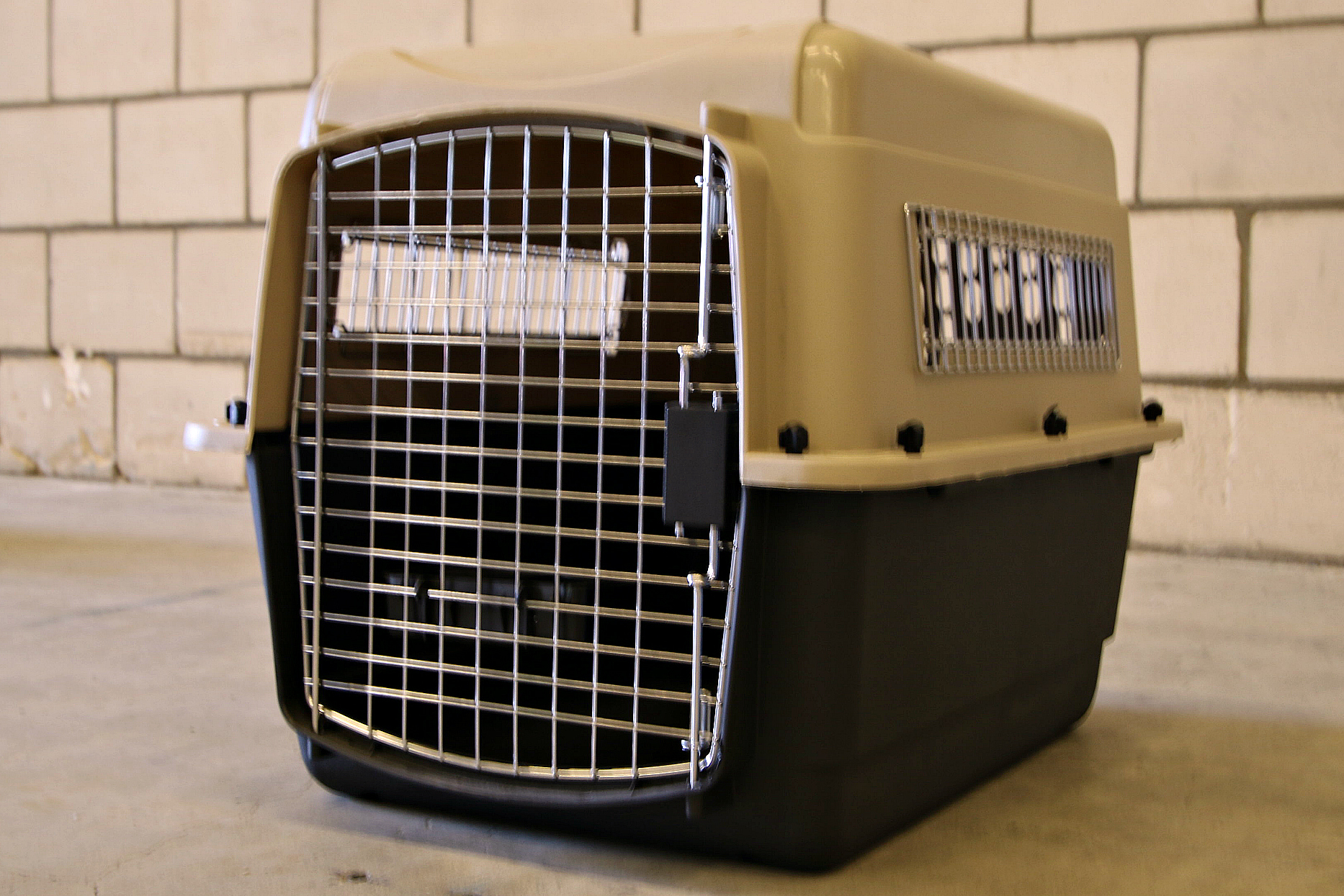 Kennel B(1)