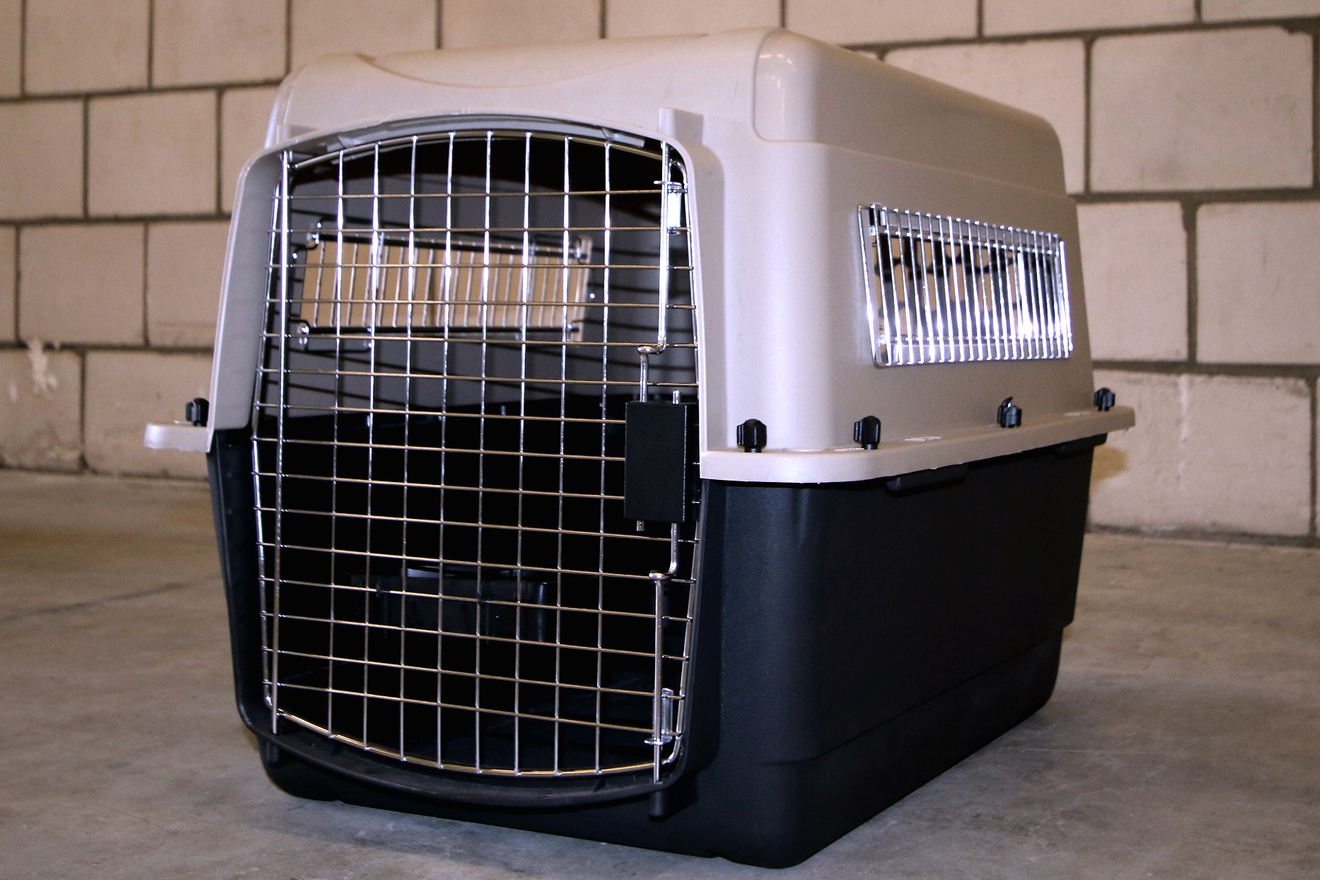 Kennel C(1)