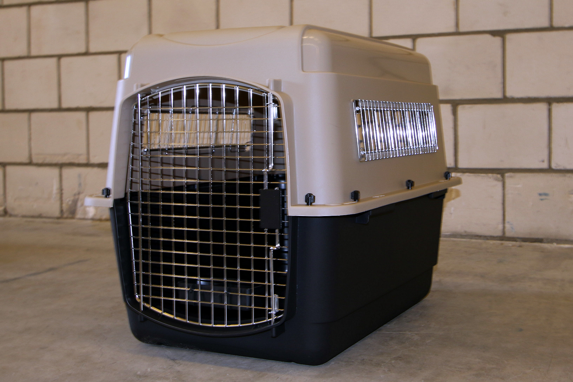 Kennel D(1)
