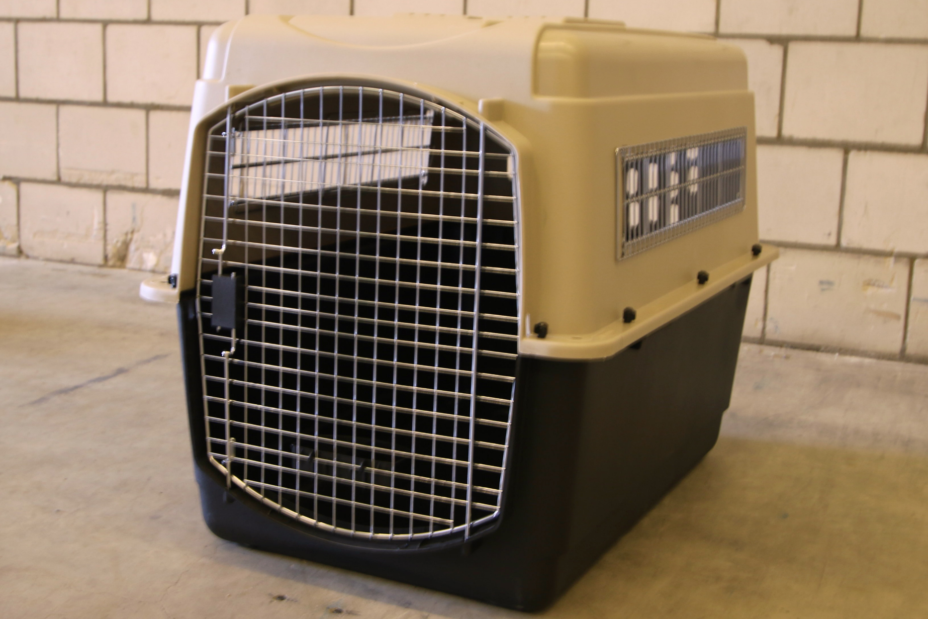 Kennel E(1)
